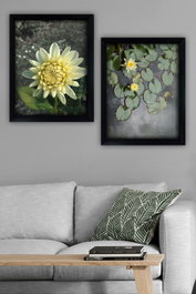 Wallity Cuadros Decorativos Enmarcados Multicolor (2 Piezas, 35 x 45 cm)